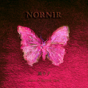 Nornir网赚项目-副业赚钱-互联网创业-资源整合HIRES SHOP