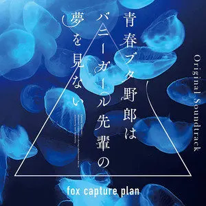 青春ブタ野郎はバニーガール先輩の夢を見ないOriginal Soundtrack (青春猪头少年不会梦到兔女郎学姐 动画原声带）网赚项目-副业赚钱-互联网创业-资源整合HIRES SHOP