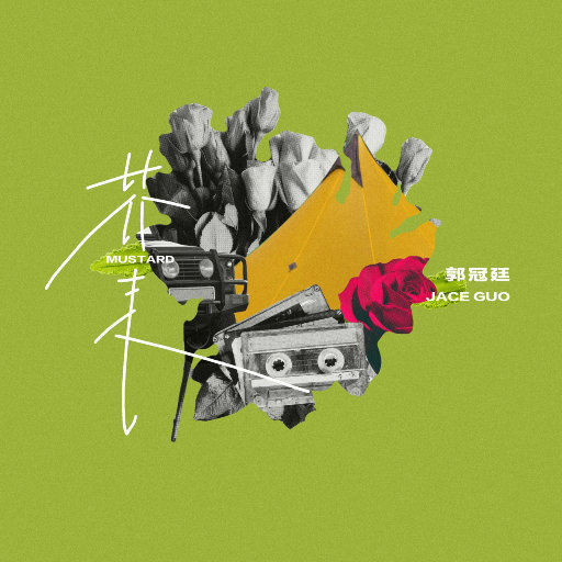 芥末网赚项目-副业赚钱-互联网创业-资源整合HIRES SHOP