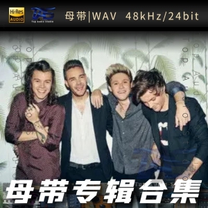 One Direction（WAV母带专辑合集）网赚项目-副业赚钱-互联网创业-资源整合HIRES SHOP
