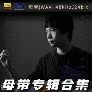 陈致逸（WAV母带专辑合集）网赚项目-副业赚钱-互联网创业-资源整合HIRES SHOP