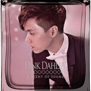 Pink Dahlia网赚项目-副业赚钱-互联网创业-资源整合HIRES SHOP