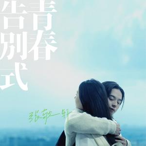 青春告别式网赚项目-副业赚钱-互联网创业-资源整合HIRES SHOP