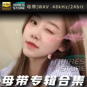 师硕晗（WAV母带专辑合集）网赚项目-副业赚钱-互联网创业-资源整合HIRES SHOP