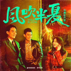 风吹半夏 电视原声带网赚项目-副业赚钱-互联网创业-资源整合HIRES SHOP