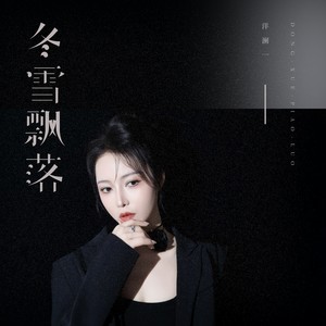冬雪飘落网赚项目-副业赚钱-互联网创业-资源整合HIRES SHOP