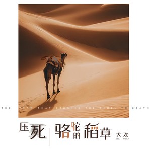 压死骆驼的稻草网赚项目-副业赚钱-互联网创业-资源整合HIRES SHOP