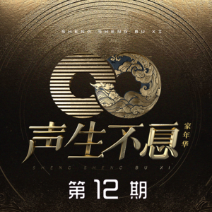 声生不息 家年华 第十二期网赚项目-副业赚钱-互联网创业-资源整合HIRES SHOP