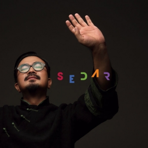 【尊享】SEDAR网赚项目-副业赚钱-互联网创业-资源整合HIRES SHOP