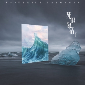 【尊享】阿朵《死里复活》秀网赚项目-副业赚钱-互联网创业-资源整合HIRES SHOP