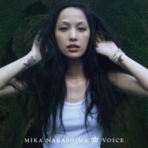 VOICE网赚项目-副业赚钱-互联网创业-资源整合HIRES SHOP