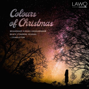 【尊享】Colours of Christmas网赚项目-副业赚钱-互联网创业-资源整合HIRES SHOP