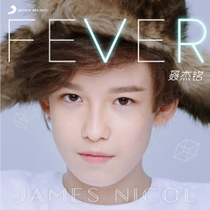 Fever EP网赚项目-副业赚钱-互联网创业-资源整合HIRES SHOP