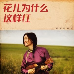 花儿为什么这样红网赚项目-副业赚钱-互联网创业-资源整合HIRES SHOP