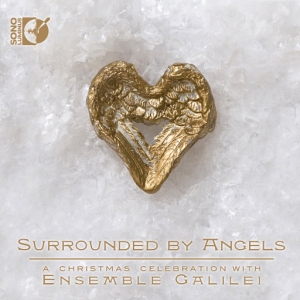 【尊享】天使环绕 (Surrounded by Angels)网赚项目-副业赚钱-互联网创业-资源整合HIRES SHOP