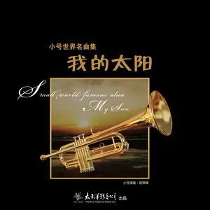 小号世界名曲集我的太阳网赚项目-副业赚钱-互联网创业-资源整合HIRES SHOP
