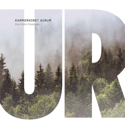 UR (5.1CH/DSD)网赚项目-副业赚钱-互联网创业-资源整合HIRES SHOP