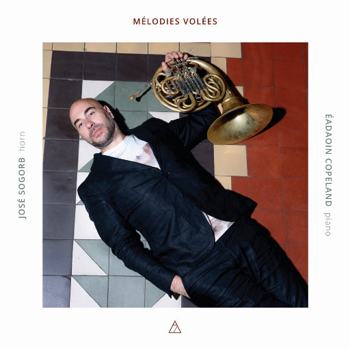 失窃的旋律 (Mélodies Volées)网赚项目-副业赚钱-互联网创业-资源整合HIRES SHOP