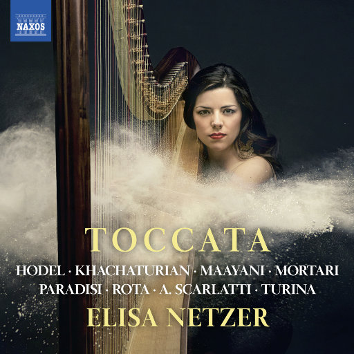 托卡塔（Toccata）网赚项目-副业赚钱-互联网创业-资源整合HIRES SHOP