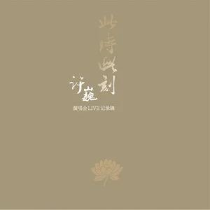 许巍 此时此刻 演唱会网赚项目-副业赚钱-互联网创业-资源整合HIRES SHOP