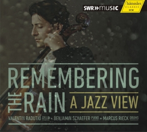 Remembering the Rain网赚项目-副业赚钱-互联网创业-资源整合HIRES SHOP