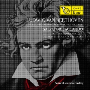 Ludwig Van Beethoven网赚项目-副业赚钱-互联网创业-资源整合HIRES SHOP