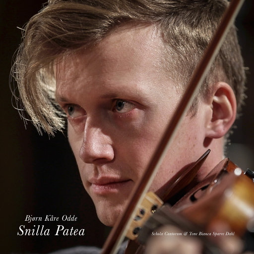 Bjørn Kåre Odde: Snilla Patea网赚项目-副业赚钱-互联网创业-资源整合HIRES SHOP