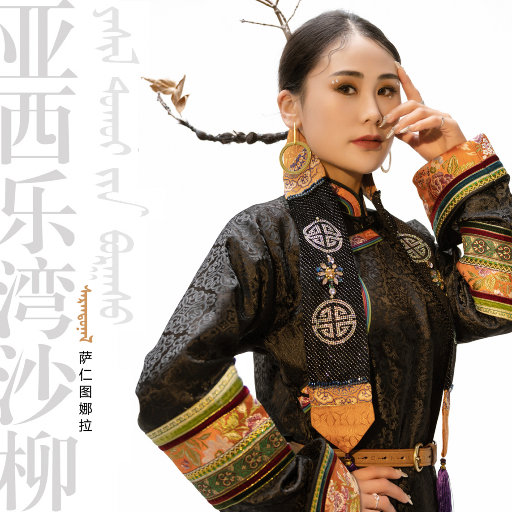 亚西乐湾沙柳网赚项目-副业赚钱-互联网创业-资源整合HIRES SHOP