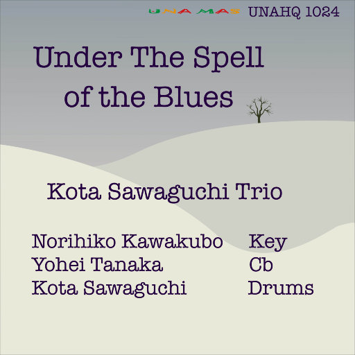 在布鲁斯的魔力下 (Under The Spell Of The Blues)网赚项目-副业赚钱-互联网创业-资源整合HIRES SHOP