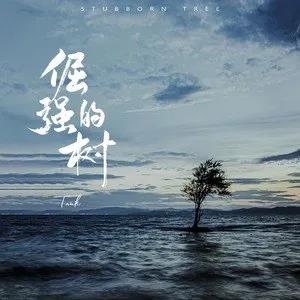 倔强的树网赚项目-副业赚钱-互联网创业-资源整合HIRES SHOP