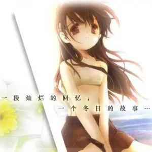 ナルキッソス (水仙)网赚项目-副业赚钱-互联网创业-资源整合HIRES SHOP