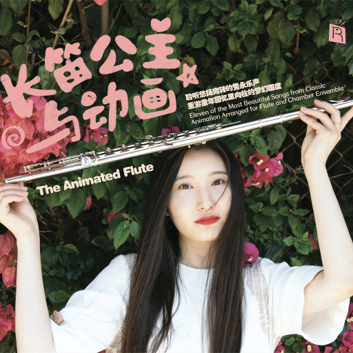 长笛公主与动画（中日美三国动画经典音乐，洛杉矶优质团队唯美呈现）网赚项目-副业赚钱-互联网创业-资源整合HIRES SHOP