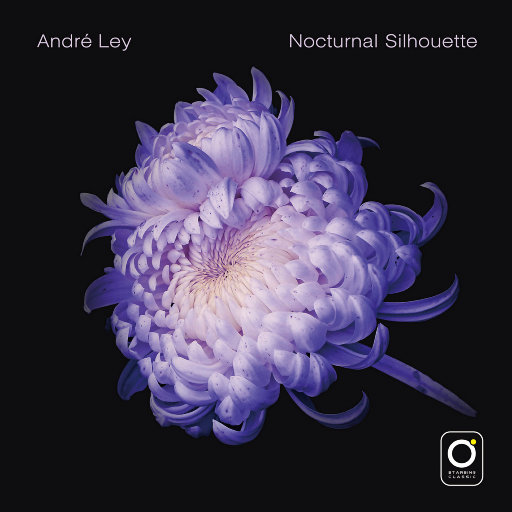 Nocturnal Silhouette（夜的轮廓）网赚项目-副业赚钱-互联网创业-资源整合HIRES SHOP