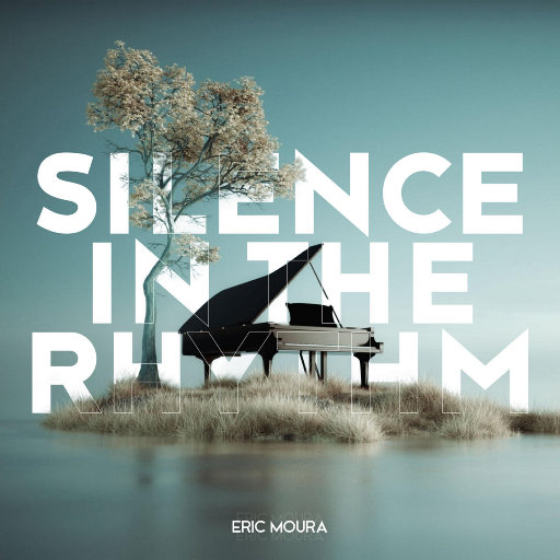 律动中的寂静 (Silence in the Rhythm)网赚项目-副业赚钱-互联网创业-资源整合HIRES SHOP