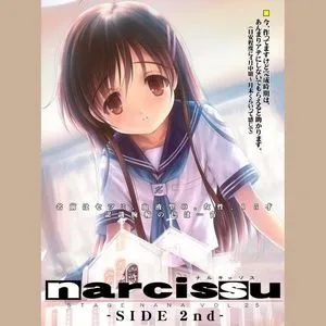narcissu SIDE 2nd网赚项目-副业赚钱-互联网创业-资源整合HIRES SHOP