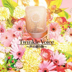 Twinkle Voice~声の贈り物~网赚项目-副业赚钱-互联网创业-资源整合HIRES SHOP