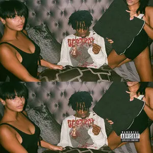 Playboi Carti网赚项目-副业赚钱-互联网创业-资源整合HIRES SHOP