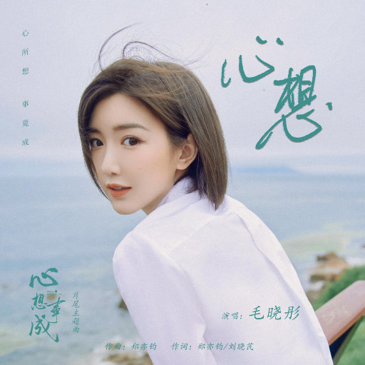 心想（电视剧《心想事成》片尾主题曲）网赚项目-副业赚钱-互联网创业-资源整合HIRES SHOP