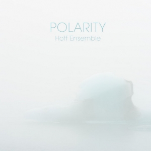 POLARITY网赚项目-副业赚钱-互联网创业-资源整合HIRES SHOP