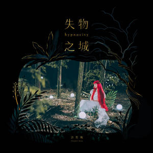 失物之城网赚项目-副业赚钱-互联网创业-资源整合HIRES SHOP