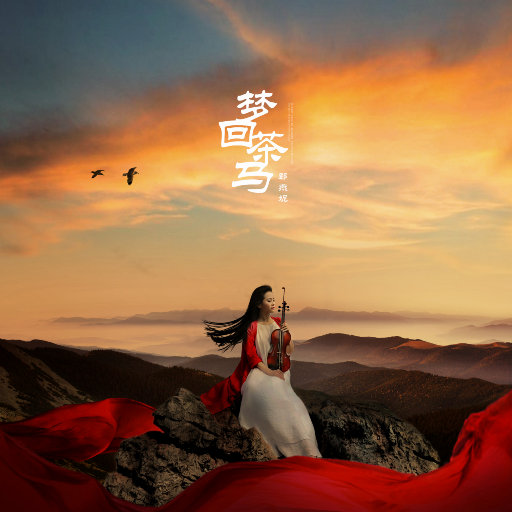 梦回茶马网赚项目-副业赚钱-互联网创业-资源整合HIRES SHOP