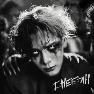 Cheetah网赚项目-副业赚钱-互联网创业-资源整合HIRES SHOP