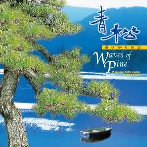 青松网赚项目-副业赚钱-互联网创业-资源整合HIRES SHOP