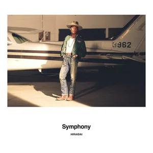 Symphony网赚项目-副业赚钱-互联网创业-资源整合HIRES SHOP
