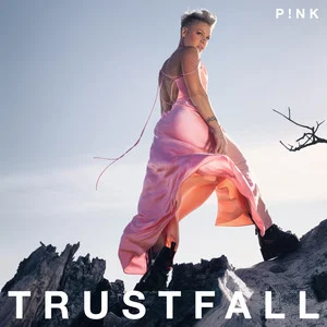TRUSTFALL (Explicit)网赚项目-副业赚钱-互联网创业-资源整合HIRES SHOP