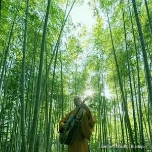 祈り – The Prayer –网赚项目-副业赚钱-互联网创业-资源整合HIRES SHOP