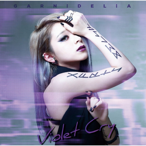 Violet Cry网赚项目-副业赚钱-互联网创业-资源整合HIRES SHOP