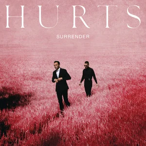 Surrender (Deluxe)网赚项目-副业赚钱-互联网创业-资源整合HIRES SHOP