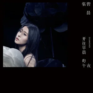 开往早晨的午夜网赚项目-副业赚钱-互联网创业-资源整合HIRES SHOP