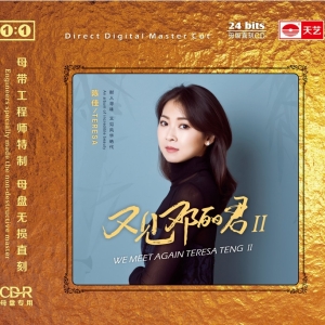 陈佳《又见邓丽君2 》网赚项目-副业赚钱-互联网创业-资源整合HIRES SHOP